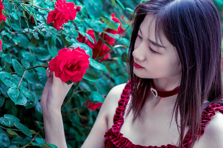 重庆高温天气持续 大熊猫洗冰水浴防暑降温